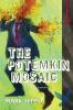 The Potemkin Mosaic