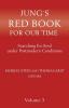 Jung's Red Book for Our Time: Searching for Soul Under Postmodern Conditions Volume 3