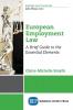 European Employment Law: A Brief Guide to the Essential Elements