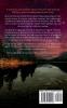 Shelter: A Big Sky Novel: 2 (Heroes of Big Sky)