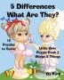 5 Differences- What Are They? Little Girls Puzzle Book 2 (Wings & Things)