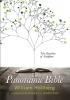 The Panoramic Bible: The Storyline of Scripture