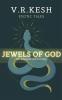 Jewels of God : An Unexpected Journey