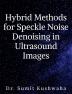 Hybrid Methods for Speckle Noise Denoising in Ultrasound Images