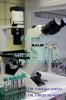 PRINCIPLES OF CLINICAL MICROBIOLOGY LABORATORY