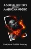 A Social History of the American Negro