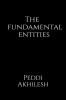 The Fundamental Entities