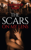 The Scars on My Lens