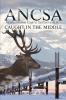 Ancsa: Caught in the Middle