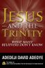 Jesus and the Trinity: What Many Believers Don't Know