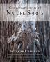 Conversations with Nature Spirits: Awakening and Igniting Our Passion for Healing the Earth