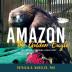 Amazon the Golden Eagle: Her Story of Overcoming a Tough Start