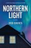 Northern Light (Coast-to-Coast Michigan Mysteries)