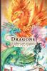 Dragons & Other Rare Creatures Volume 1 (Dragons and Other Rare Creatures)