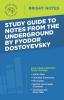 Study Guide to Notes From the Underground by Fyodor Dostoyevsky (Bright Notes)