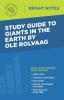 Study Guide to Giants in the Earth by Ole Rolvaag (Bright Notes)