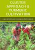 CLUSTER APPROACH & TURMERIC CULTIVATION