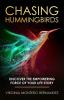 Chasing Hummingbirds: Discover the Empowering Force of Your Life Story