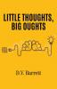 Little Thoughts Big Oughts