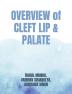 overview of cleft lip and palate : cleft lip and palate