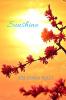 SUNSHINE : AN ENGROSSING NOVEL OF HOPE FAMILY AND LOVE