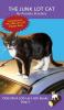 The Junk Lot Cat: Sound-Out Phonics Books Help Developing Readers including Students with Dyslexia Learn to Read (Step 3 in a Systematic Series of Decodable Books): 12 (Dog on a Log Let's Go! Books)