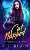 Catnapped: A Magical Romantic Comedy (with a body count): 18