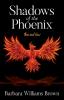 Shadows of the Phoenix: Then and Now