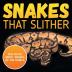 Snakes That Slither: Fun Facts About Snakes of The World