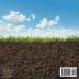 What Is Soil and Why is It Important?: 2nd Grade Science Workbook Children's Earth Sciences Books Edition