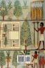 The Negro in Ancient History