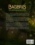 Bagbris the Word-searcher RPG: The Quest to Save The Sanctuary (Word Search Meets LitRPG)