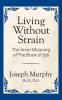 Living Without Strain: The Inner Meaning of the Book of Job: The Inner Meaning of the Book of Job