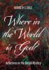 Where in the World is God?: Reflections on the Sacred Mystery