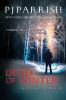 Dead Of Winter: A Louis Kincaid Thriller: 2