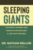 Sleeping Giants: Authentic Stories and Insights for Building a Life That Matters