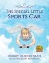 The Special Little Sports Car