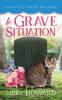 A Grave Situation: 7 (Locust Point Mystery)