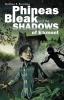 Phineas Bleak and the Shadows of Elkmont: 1