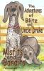 Misfits and Bandits: 2 (The Adventures of Blitz and Uncle Drake)