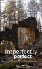 Imperfectly perfect: Uncovering the Hidden Hand of God