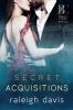 Secret Acquisitions (LARGE PRINT): A billionaire bad boy second chance romance: 1 (Bastard Capital)