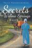 Secrets of Willow Springs - Book 1: The Amish of Lawrence County