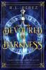 Devoured by Darkness: A Dark Fantasy Romance: 2 (Timecaster Chronicles)