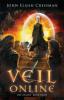 Veil Online - Book 3: An Epic LitRPG Adventure