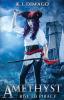 Amethyst: Rise to Piracy: 1 (The Amethyst Saga)