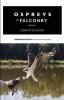 Ospreys in Falconry: Lessons Learned