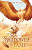 The Shadowed Flame: 1 (The Sundered Worlds)