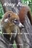 Nosey Beast: Natural history of the coatis