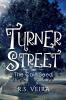 Turner Street: The Cain Seed: 2 (Turner Street Chronicles)